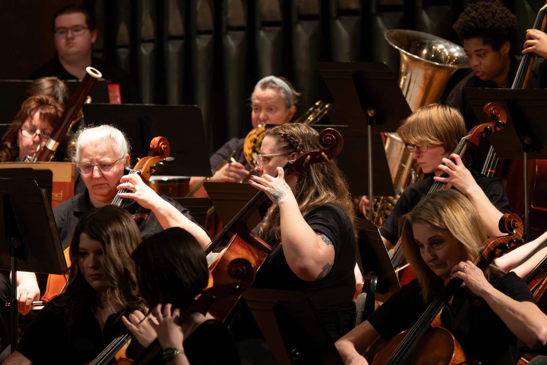 Cello section