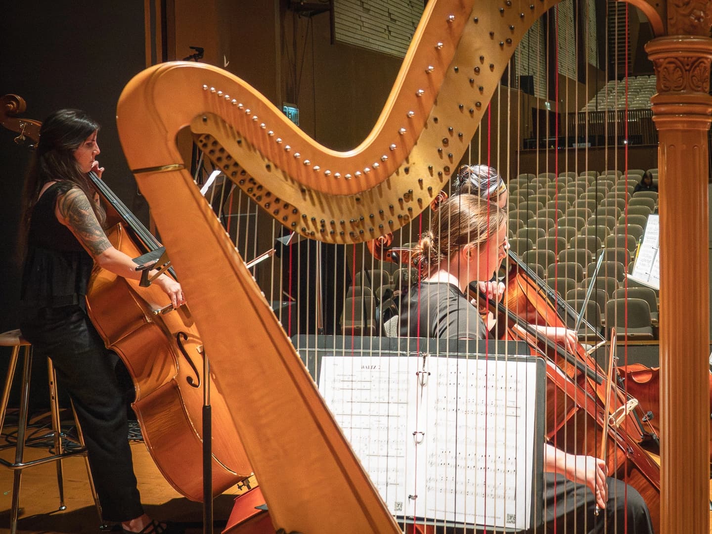 Harp and cello