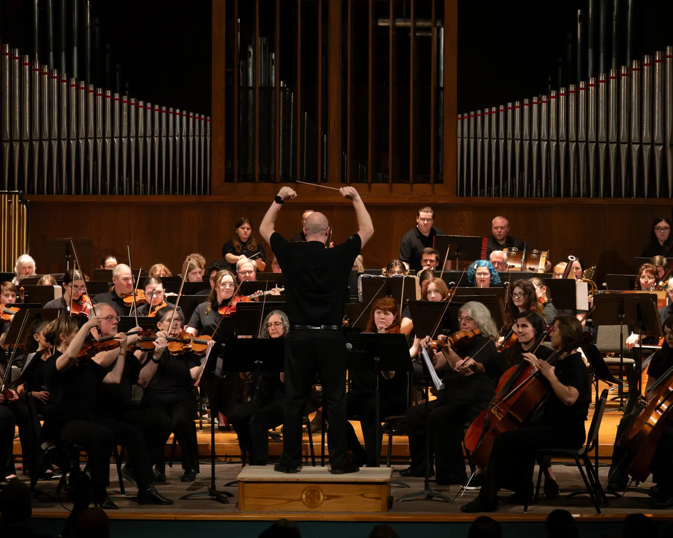 Music Association of Canyon County orchestra performance