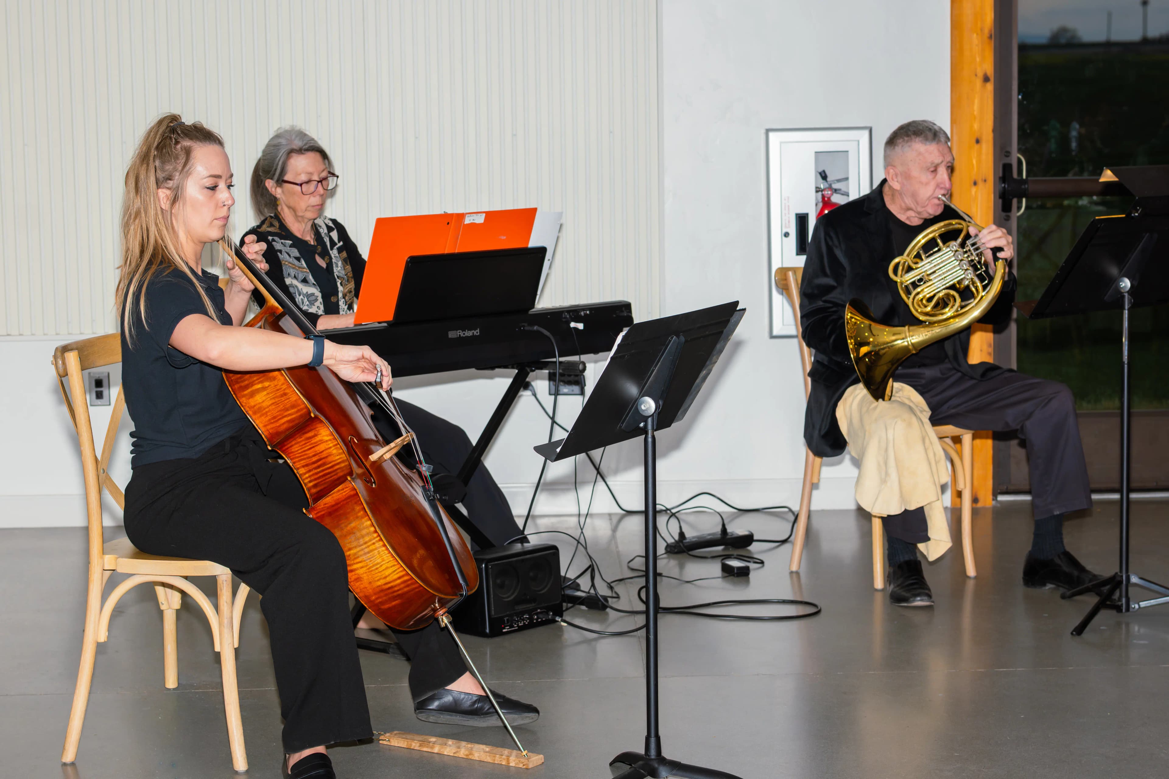Music Association of Canyon County orchestra performance